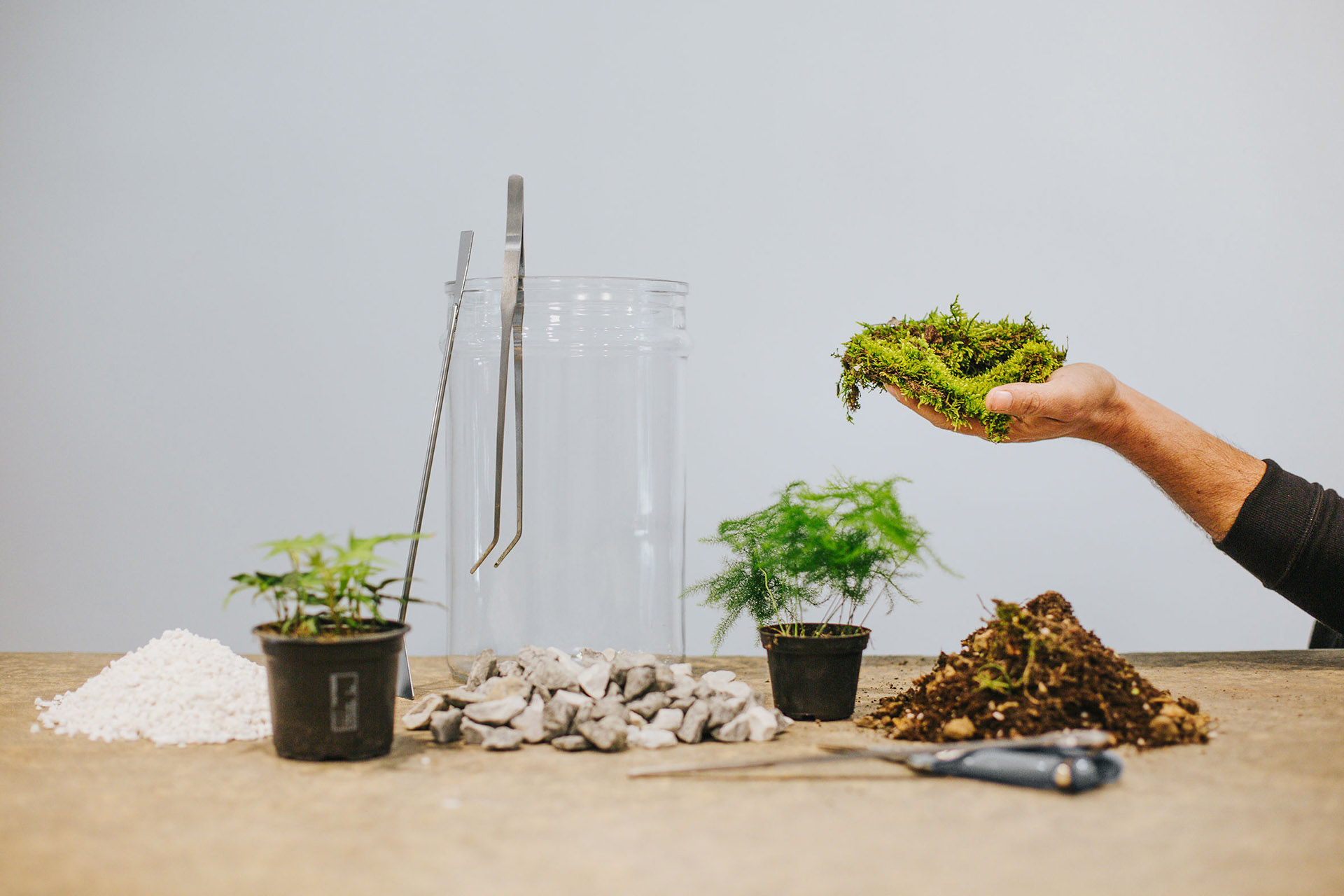 Florilegium-botanical-atelier-41.jpg