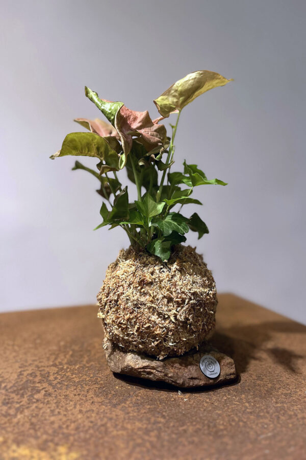 collezione pietre florilegium (5)