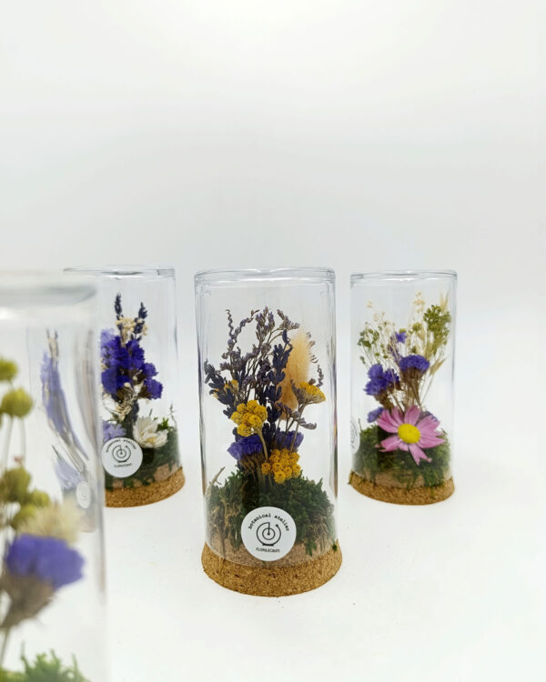 florigami,terrari con fiori secchi