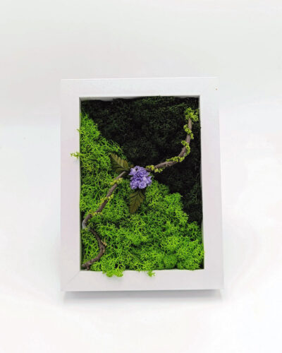 Fiore di carta