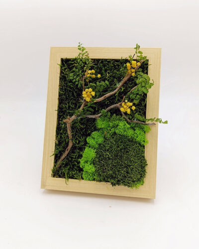 Lemon Tree