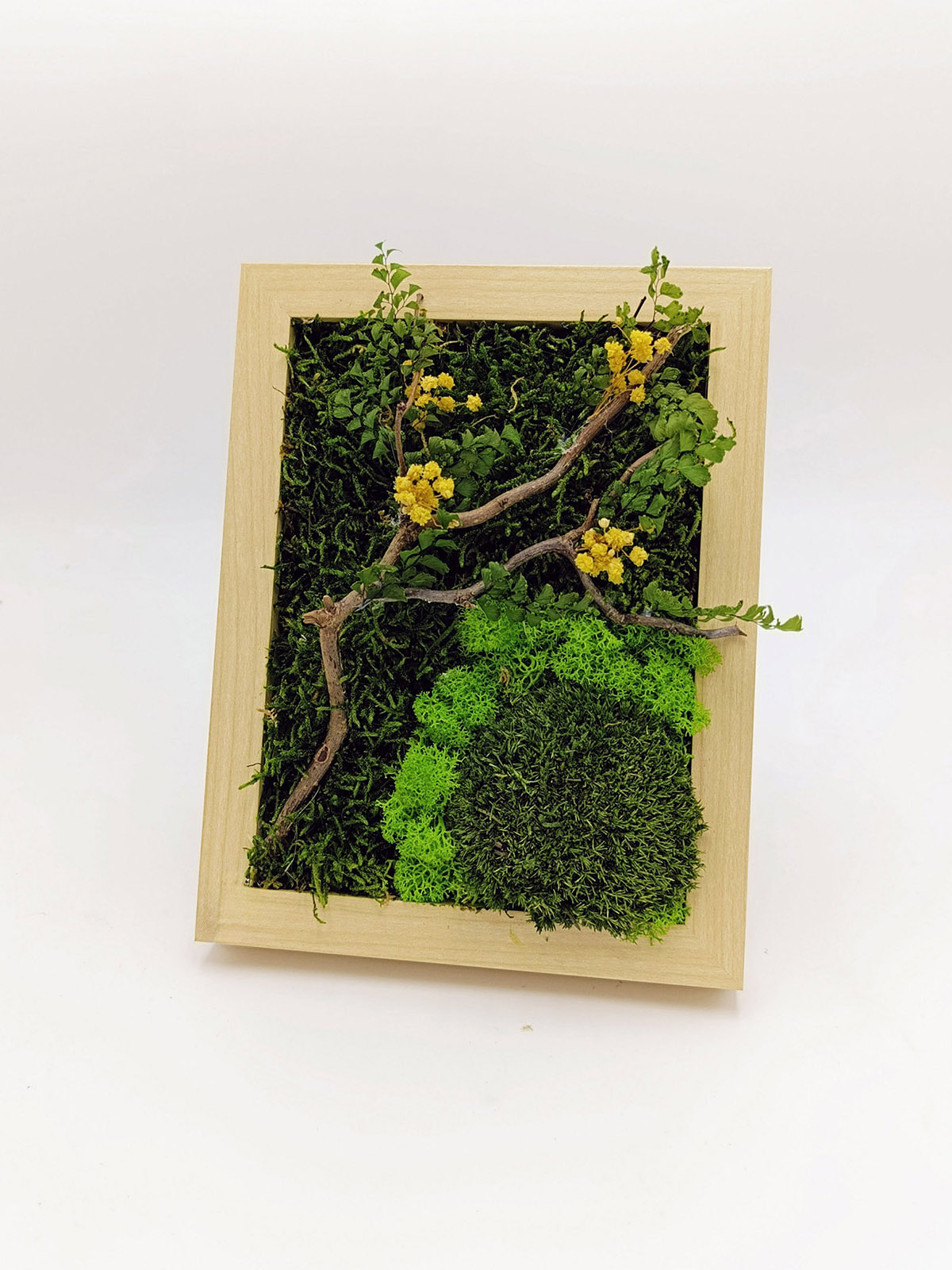 Lemon Tree