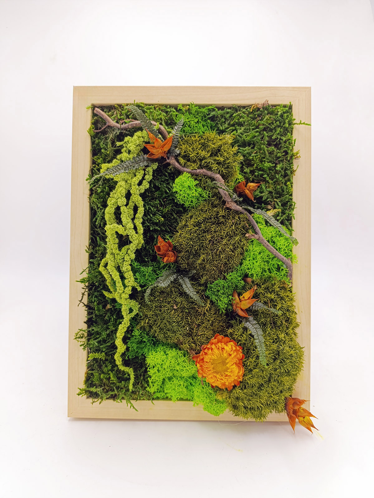 Mezzogiorno - immagine 2